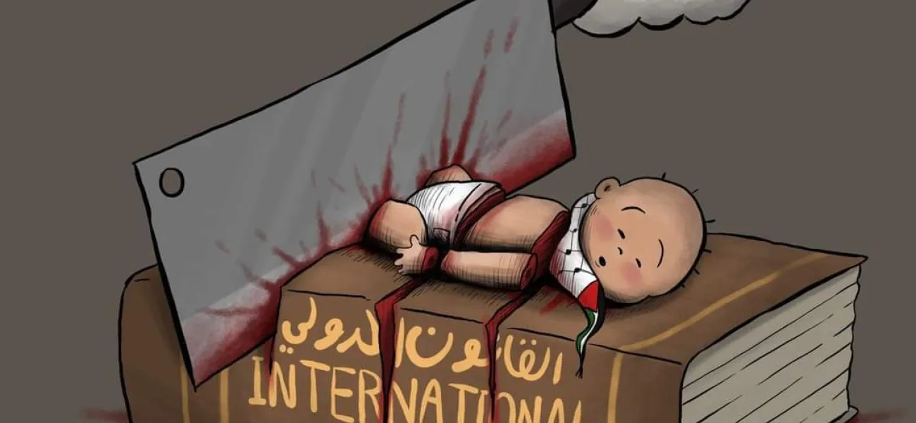 حقوق بین‌الملل - کمال شرف