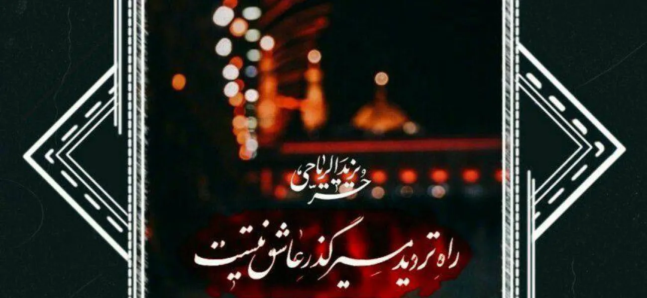 من اگر راه به جایی ببرم ناخلفم - فاضل نظری